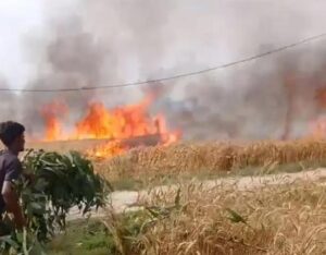 उन्नाव: हाईटेंशन लाइन में शॉर्ट सर्किट से लगी आग, 8 बीघा गेहूं की फसल जलकर राख