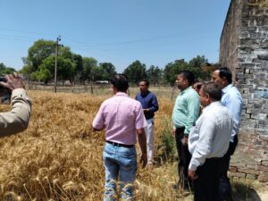 तेज़ बारिश से फसल नुकसान, प्रशासन ने किया निरीक्षण
