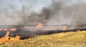 उन्नाव: पवई गांव में भीषण आग, कई बीघा गेहूं की फसल जलकर राख